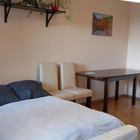 Apartament Radzikowskiego Krasków Εξωτερικό φωτογραφία